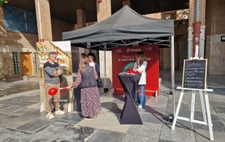 Visibilidad vasculitis