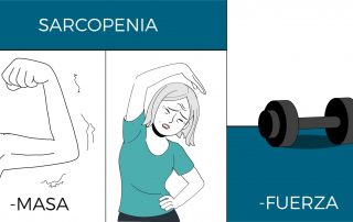Video sarcopenia