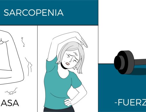 Una dieta sana con adecuado aporte proteico y de vitamina D, junto al ejercicio físico: pilares clave frente a la sarcopenia