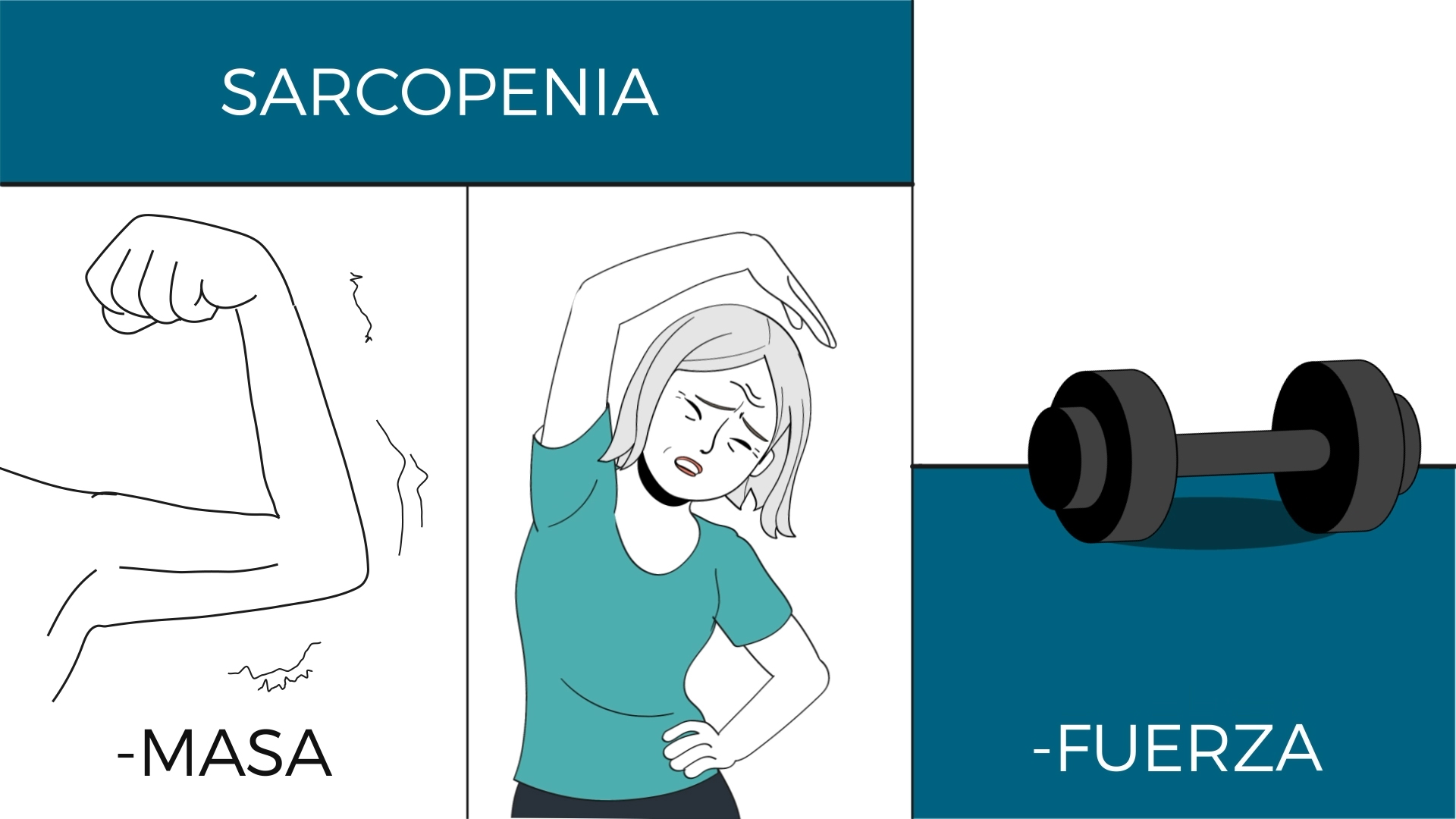 Video sarcopenia