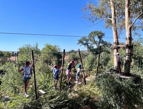 La actividad física, esencial para tratar las enfermedades reumáticas en la infancia