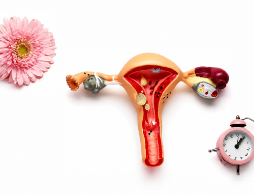 El impacto de la menopausia en pacientes con enfermedades reumáticas e inmunomediadas